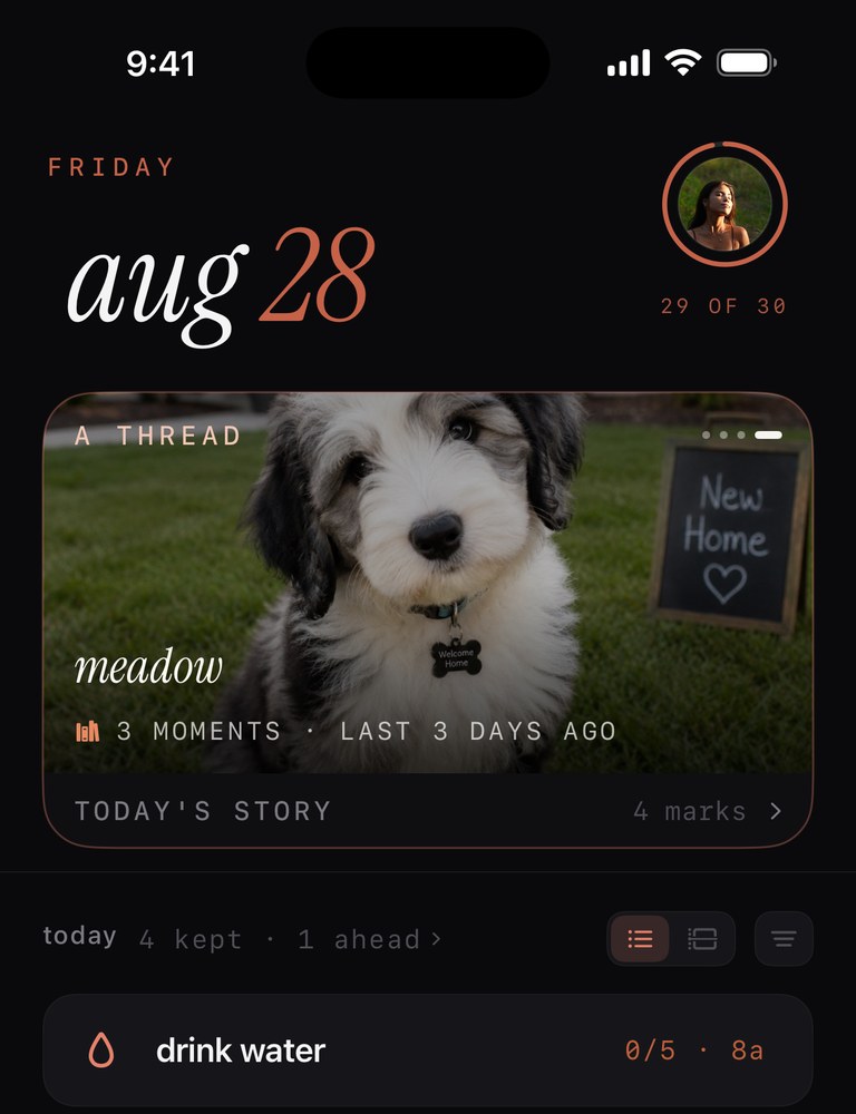Mark on iPhone — today's rituals and tasks